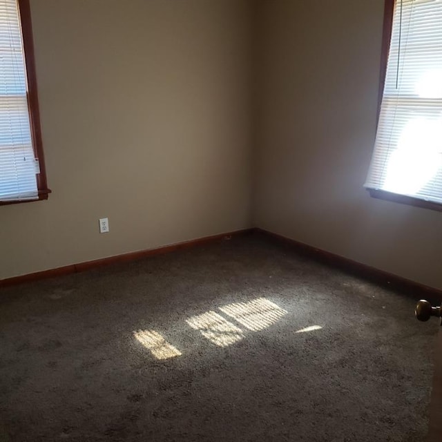 empty room featuring carpet floors