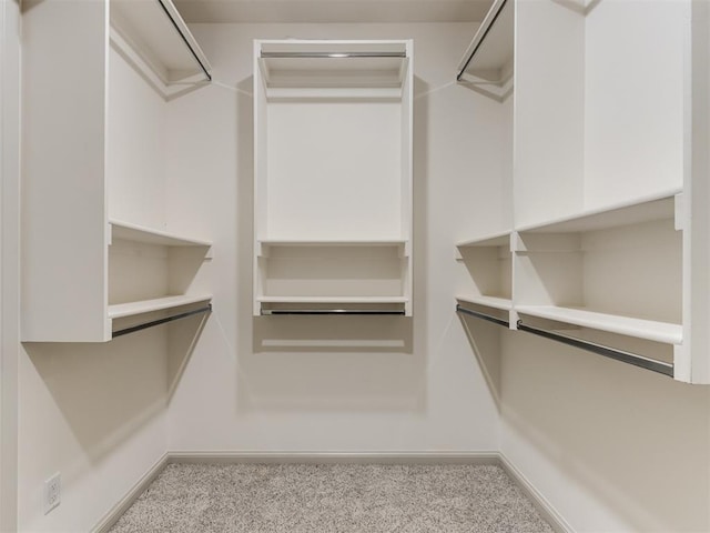 spacious closet with light colored carpet