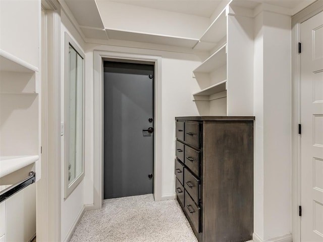 spacious closet featuring light carpet