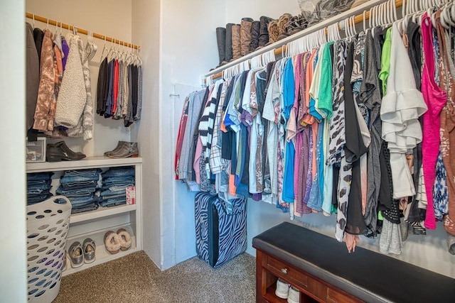 spacious closet featuring carpet