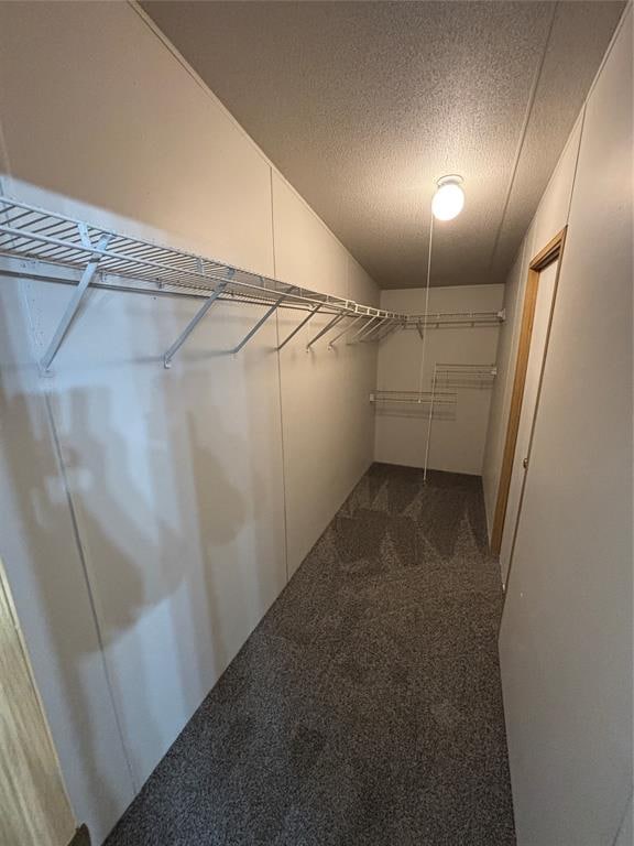 walk in closet featuring dark carpet