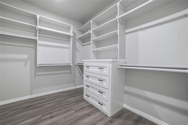 spacious closet featuring dark wood-type flooring