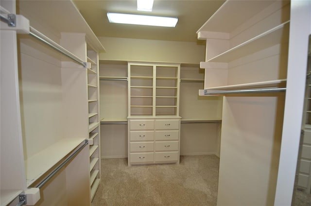 spacious closet with light carpet