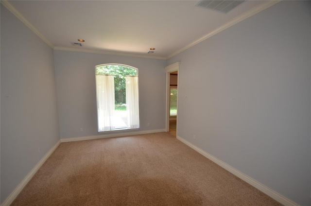 carpeted empty room with ornamental molding