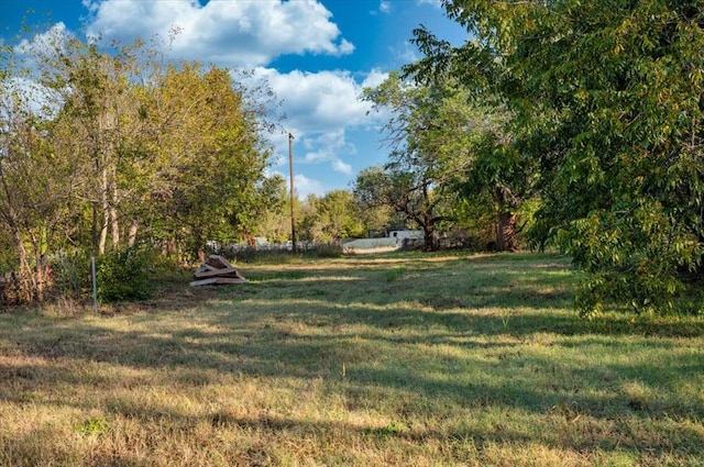 view of yard