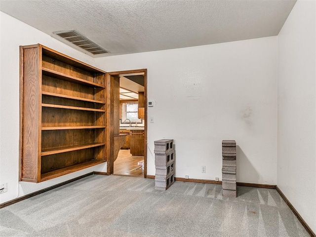 interior space featuring carpet, sink, and a textured ceiling