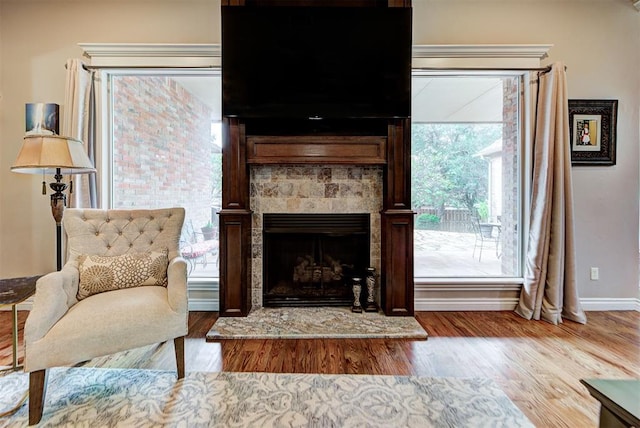 living room with wood finished floors, baseboards, and a fireplace with raised hearth