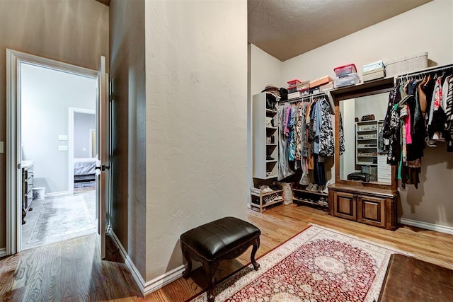 walk in closet with light hardwood / wood-style flooring