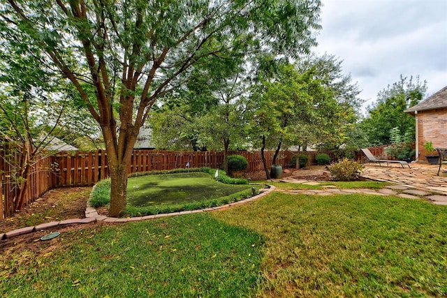 view of yard with a patio and a fenced backyard