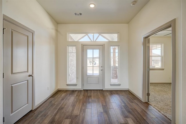 entrance foyer featuring dark wood-type flooring