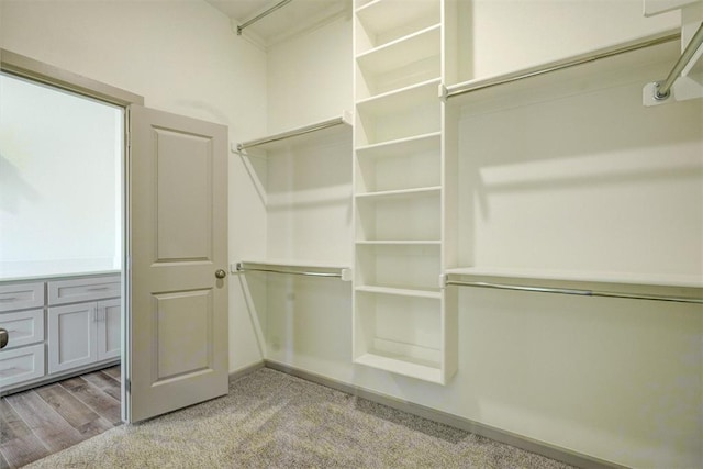 spacious closet with light colored carpet