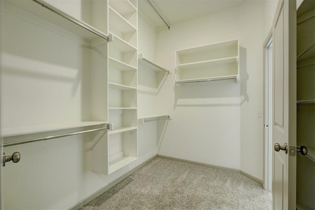 spacious closet with light carpet