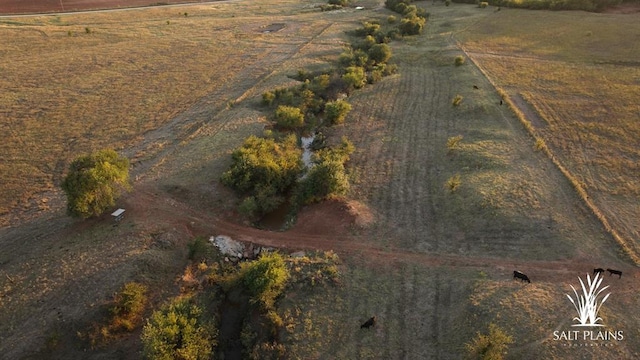 bird's eye view with a rural view