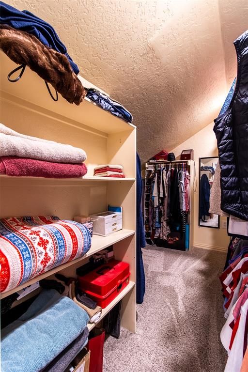 walk in closet with lofted ceiling and carpet floors