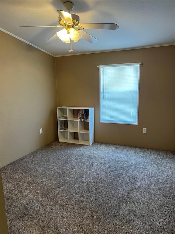 carpeted spare room featuring ceiling fan and ornamental molding