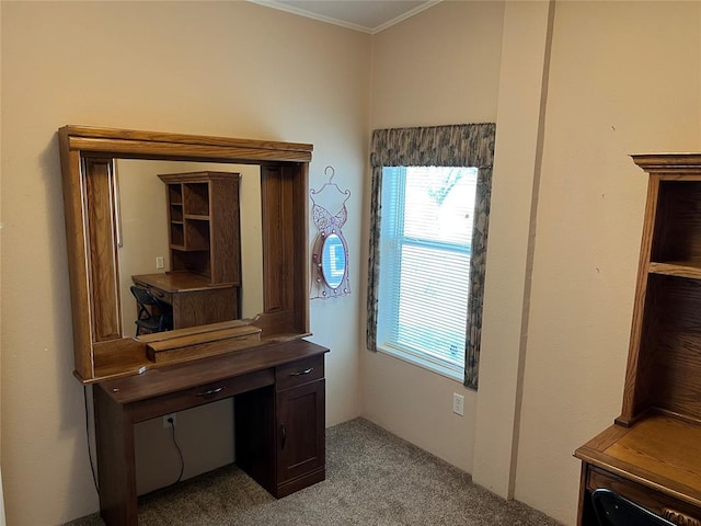 carpeted office featuring ornamental molding