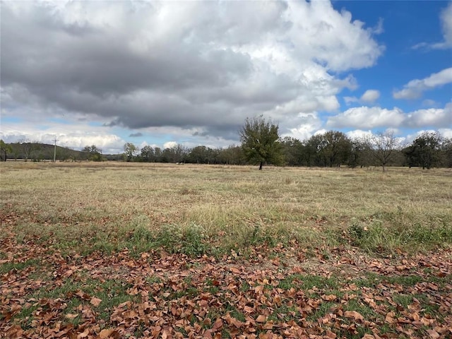 view of landscape with a rural view