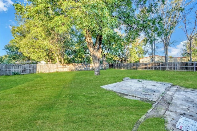 view of yard featuring a patio area