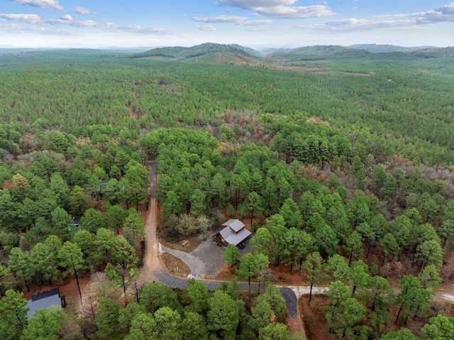 drone / aerial view featuring a mountain view