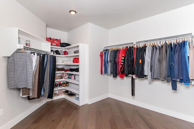 spacious closet with dark hardwood / wood-style floors