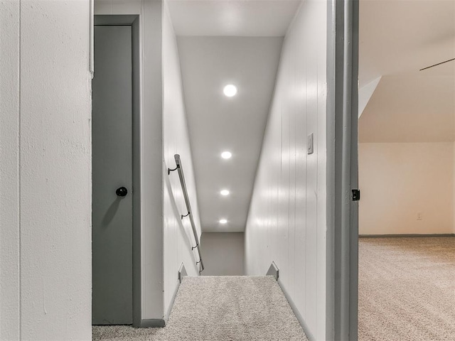 hallway featuring carpet floors and wood walls