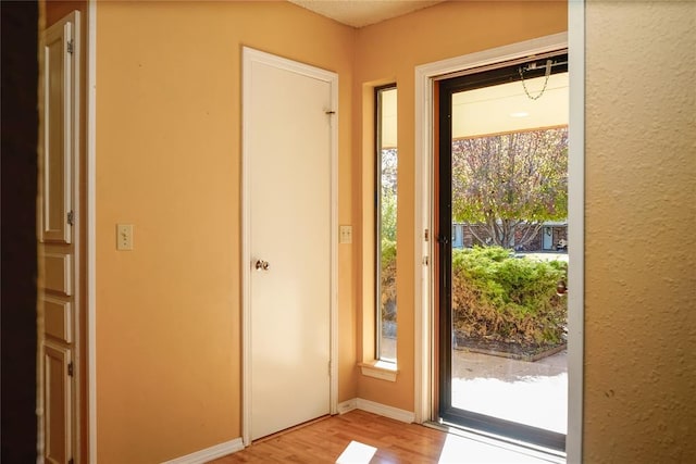 doorway to outside with a healthy amount of sunlight and light wood-type flooring