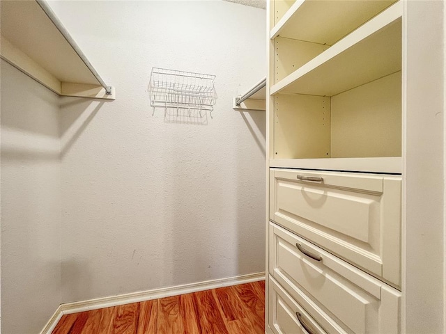 spacious closet with hardwood / wood-style floors