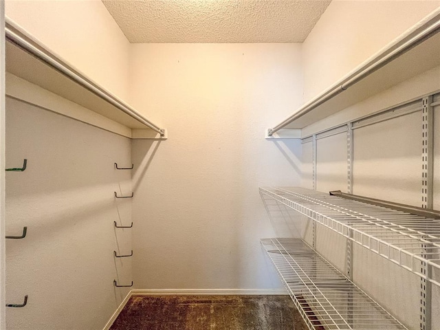 spacious closet featuring wood-type flooring