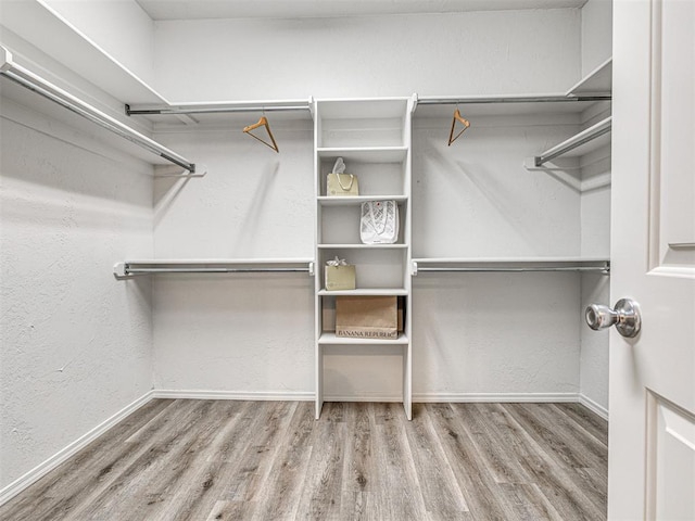 walk in closet featuring light wood-type flooring