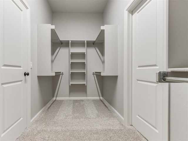 walk in closet featuring carpet