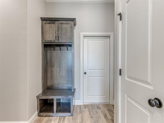 mudroom featuring light wood-type flooring