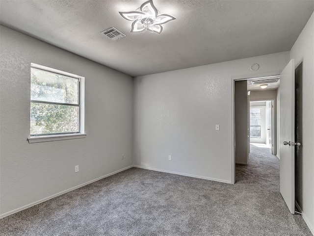 spare room featuring a textured ceiling, light carpet, and a wealth of natural light