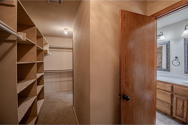 walk in closet with light colored carpet