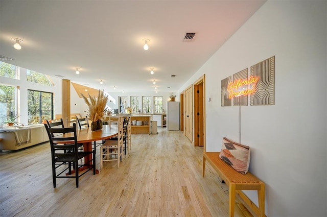 dining space featuring a wealth of natural light and light hardwood / wood-style flooring