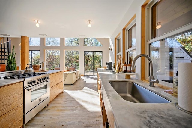 kitchen featuring stainless steel range, light wood-type flooring, and sink