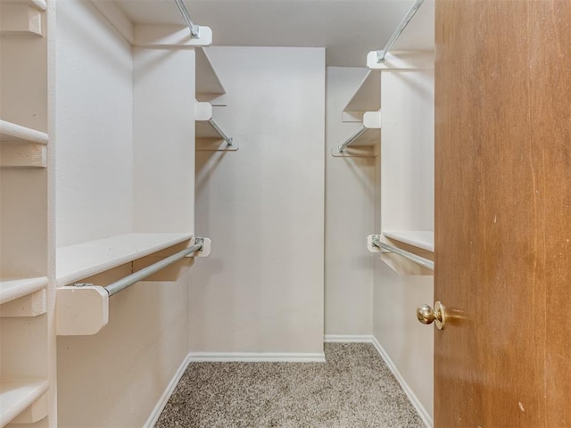 walk in closet with light colored carpet