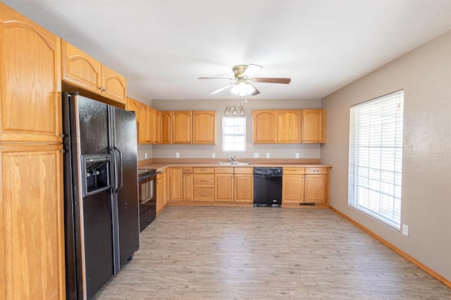 kitchen with black appliances, sink, a wealth of natural light, and light hardwood / wood-style flooring