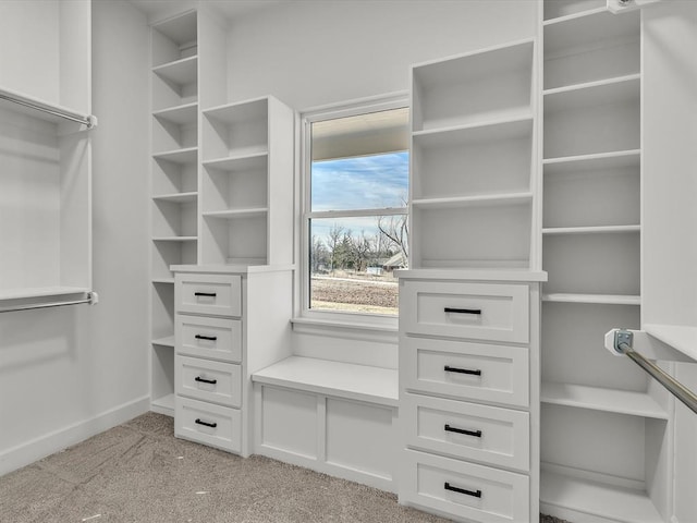 spacious closet with light colored carpet