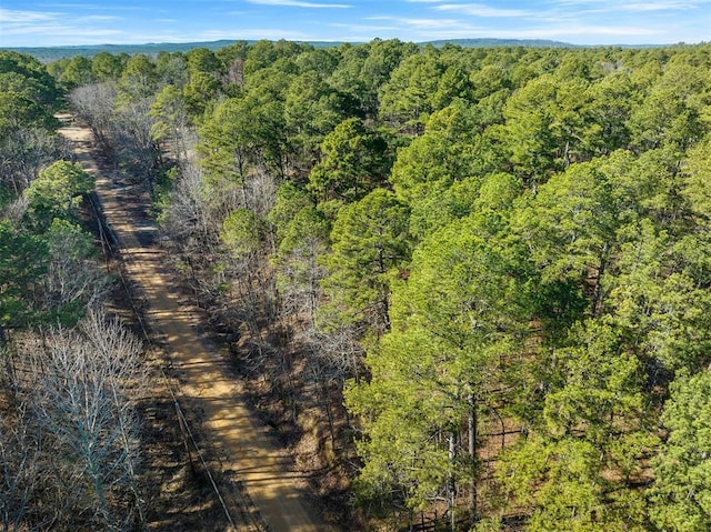 Lamprey Rd, Broken Bow, OK 74728