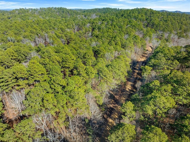 Lamprey Rd, Broken Bow, OK 74728
