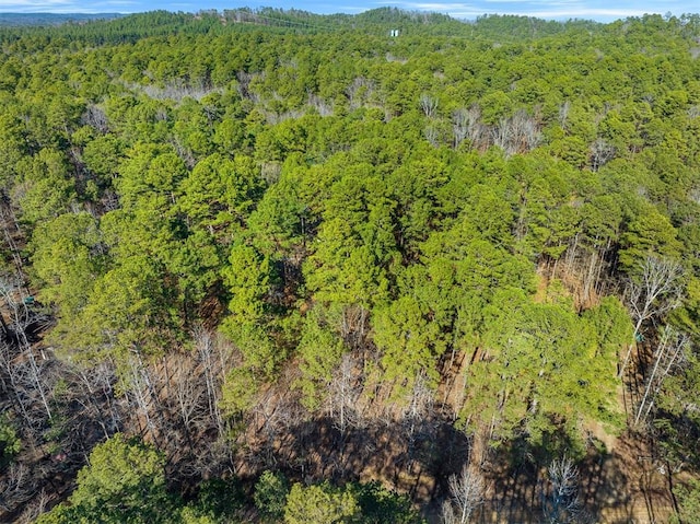 Lamprey Rd, Broken Bow, OK 74728