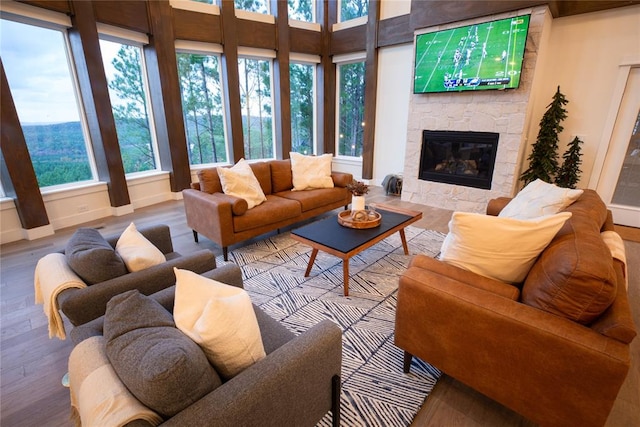 living room with hardwood / wood-style floors, plenty of natural light, and a fireplace