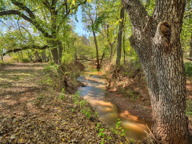 view of local wilderness