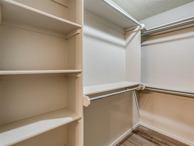 spacious closet with hardwood / wood-style floors