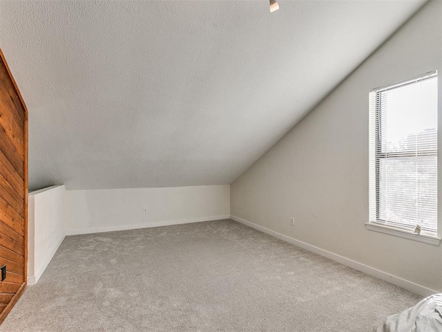 additional living space with light colored carpet, lofted ceiling, and a textured ceiling