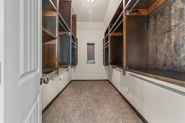 walk in closet featuring carpet floors