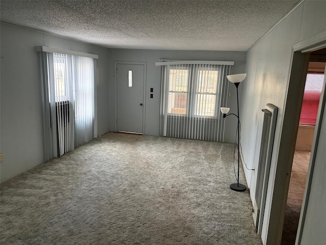 interior space with plenty of natural light, carpet floors, and a textured ceiling