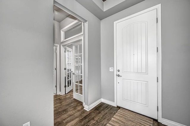 foyer entrance featuring dark wood-type flooring