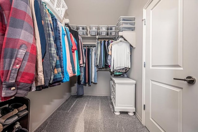 walk in closet with dark colored carpet