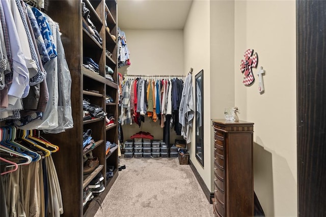 spacious closet featuring carpet flooring